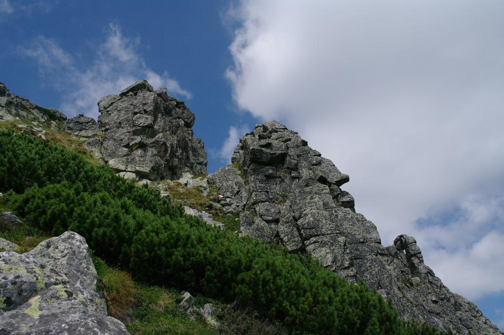Studio Marek Vysoké Tatry 외부 사진